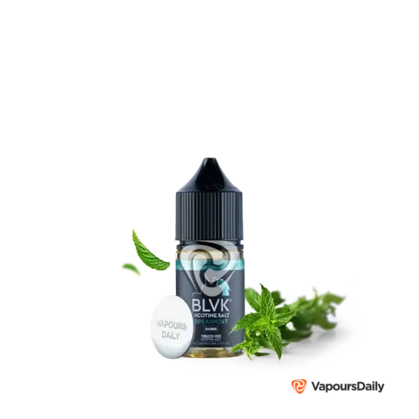 خرید سالت بی ال وی کی نعناء BLVK SPEARMINT MENTHOL