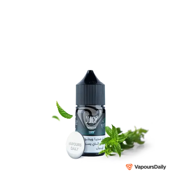 خرید سالت جوسی نعناء JUICY SPEARMINT