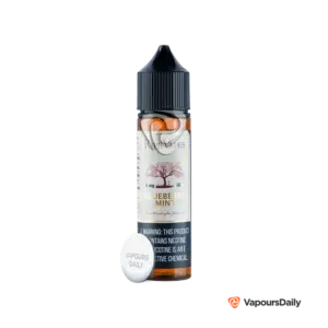 خرید جویس رایپ ویپز بلوبری نعناع RIPE VAPES BLUEBERRY MINT