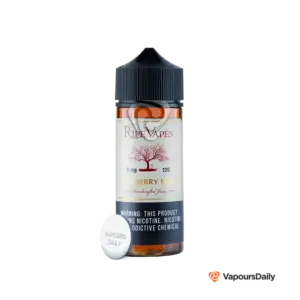 خرید جویس رایپ ویپز بلوبری نعناع RIPE VAPES BLUEBERRY MINT 120ML