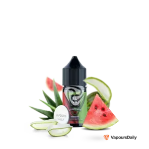 خرید سالت بی ال وی کی آلوئه ورا هندوانه BLVK ALOE WATERMELON