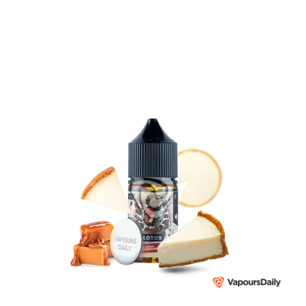 خرید سالت دکتر ویپز چیزکیک DR.VAPES LOTUS CHEESECAKE