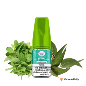 خرید سالت دینرلیدی نعناع یخ DINNER LADY SPEARMINT MENTHOL 30ML