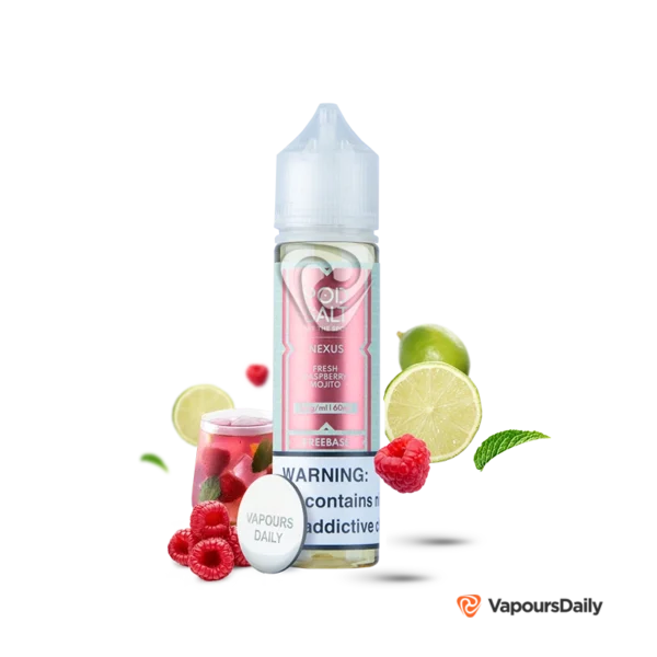 خرید جویس پاد سالت موهیتو تمشک (60میل) Pod Salt Fresh Raspberry Mojito