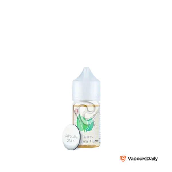 خرید سالت توکیو نعناع یخ (30میل) TOKYO ICED MINT