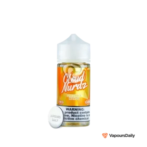 خرید جویس کلود نوردز آناناس انبه (100میل) CLOUD NURDZ PINEAPPLE MANGO